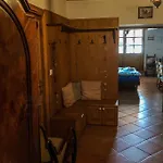 Tulipanos Vendeghaz *