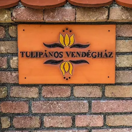 아파트 Tulipanos Vendeghaz *
