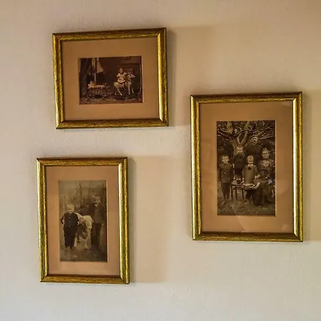 Apartament Tulipanos Vendeghaz
